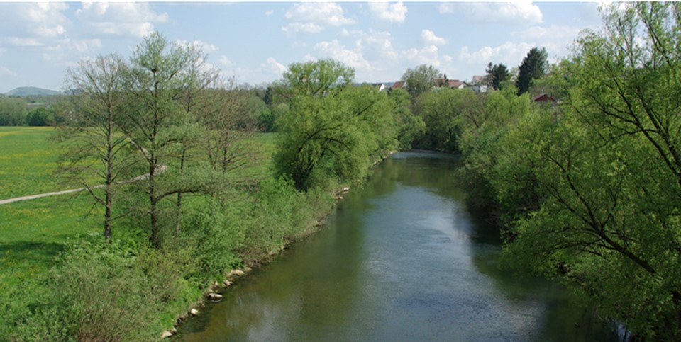 Zu Seite: Unsere Themen